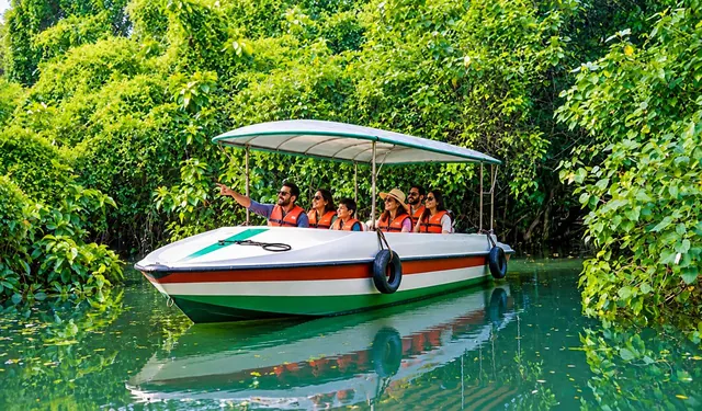 Poovar Boating Cruise motor boat in the green mangroves