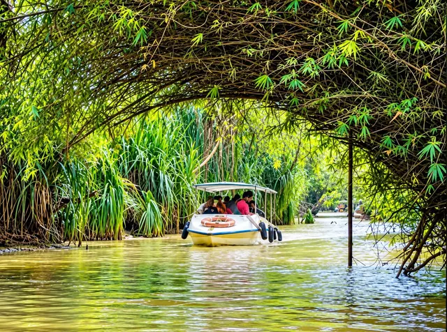 Boat under the mangrove arch on the Poovar backwaters