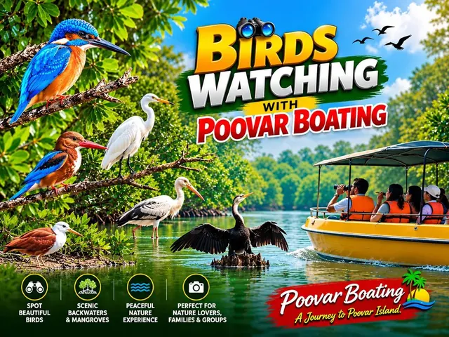 Birds watching with Poovar Boating – kingfisher, egret and more