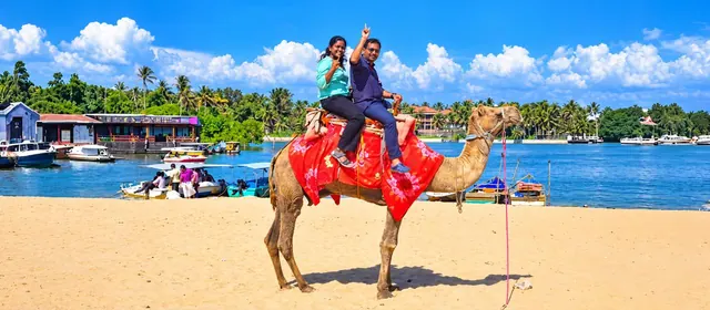 Camel ride on Poovar golden sand beach