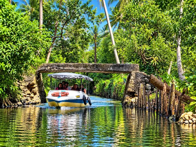 Boat passing under an old bridge in the Poovar backwaters