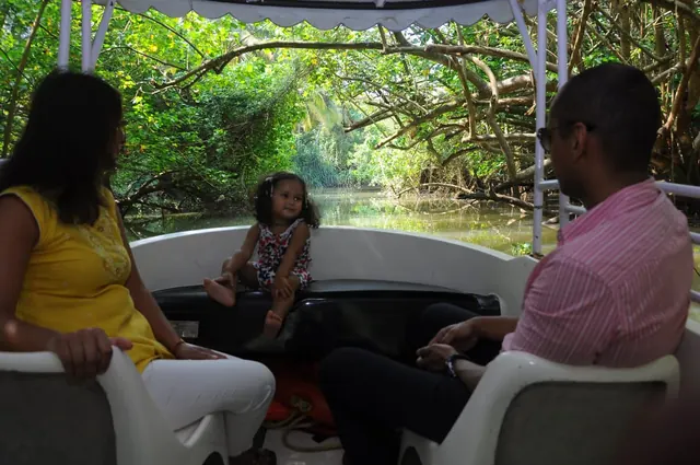 Poovar Boating Cruise – guests and backwater views