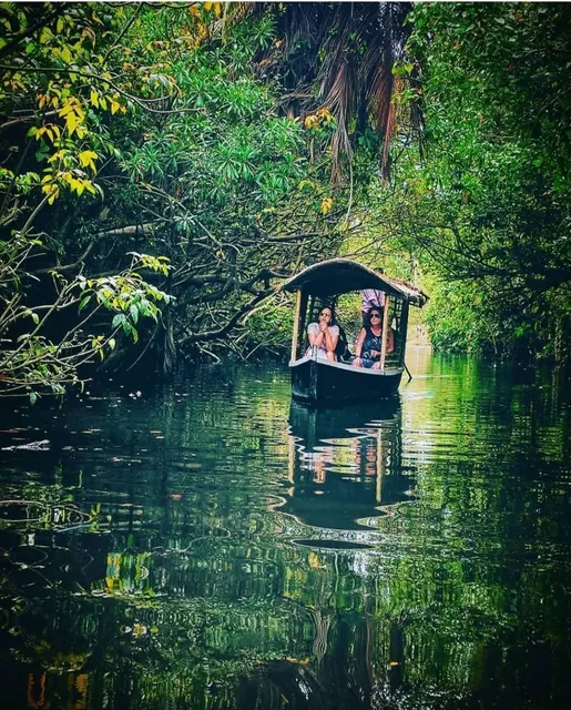 Poovar Boating Cruise – guests and backwater views