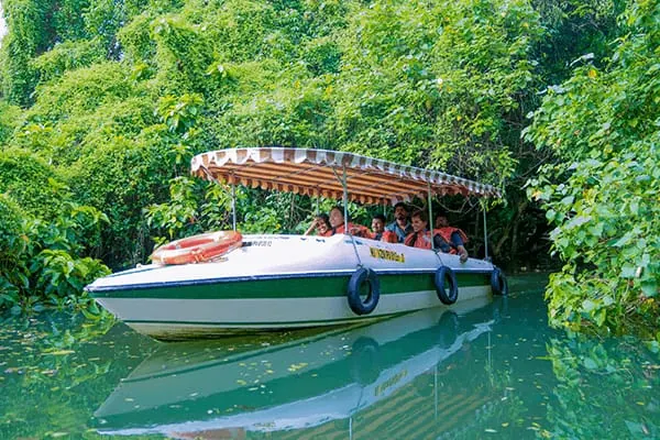 Poovar Boating Cruise – guests and backwater views